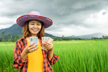 young Asian woman farmer hand holding Thai banknotes money and smart phone standing over green rice farm 