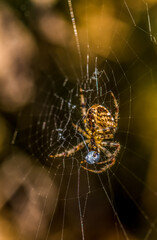 Port Eynon, Gower, Wales, UK