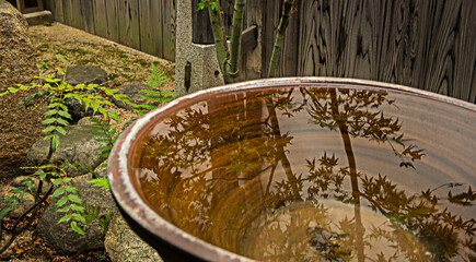 広島県・坪庭、水鉢に映る影
