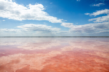 A beautiful pink salt lake with clouds reflecting in it. Fabulous landscape