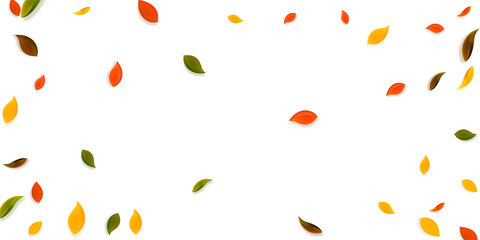 Falling autumn leaves. Red, yellow, green, brown c