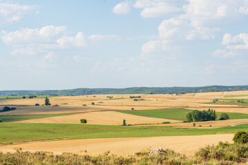 Fototapeta na wymiar Freshly mowed wheat field. Picturesque summer landscape in the center of the Iberian Peninsula.