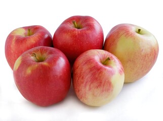 MULTICOLOR TASTY ,SWEET APPLES FROM ORCHARD CLOSE UP