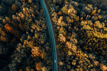 Aerial view of the dirt road passing through the forest.