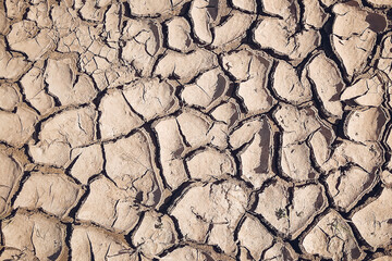 dry cracked earth