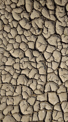 dry earth background
vertical background
