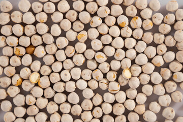 healthy chickpeas on white background
