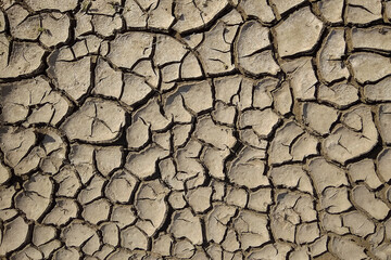 cracked earth texture