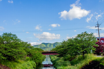 Fototapeta na wymiar 日本の原風景・小川と新緑と橋