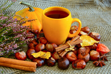 Obraz na płótnie Canvas Autumn composition. Orange cup, mug of tea with pumpkin, chestnuts, yellow leaves,heather, cinnamon on gray background. Autumn card, composition, mood. 