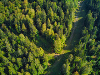 La Chartreuse vue du Ciel © Florian
