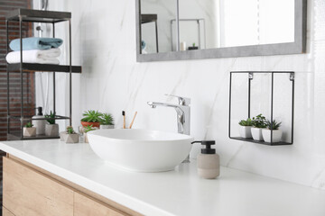Bathroom counter with stylish vessel sink and houseplants. Interior design