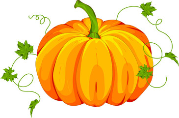 Fresh vector pumpkin illustration. Green leaves