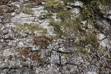 北海道の田舎のグラフィック素材
