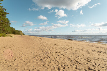 Fototapeta na wymiar Picturesque sandy beach with cloudy sky in Komarovo, Saint Petersburg, Russia.