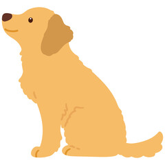 Flat colored cute Golden Retriever sitting in side view