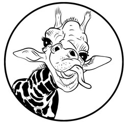 head of a funny giraffe sicking the tongue out © westCloud
