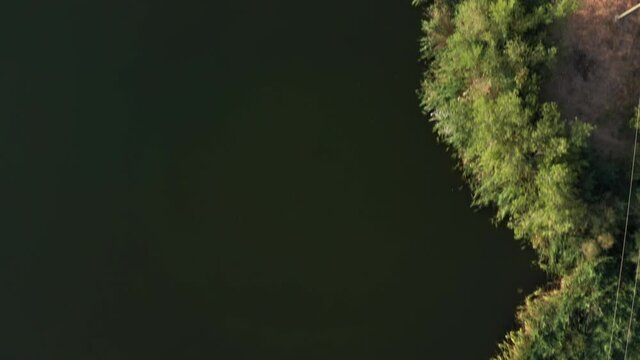 Aerial down shot of a forest on an islet in the Pic&oacute;n de los Conejos.