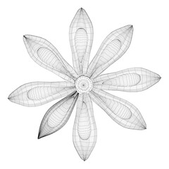 Fototapeta premium Abstract flower wireframe made of black lines isolated on white background. 3D. Vector illustration