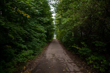Obraz premium Photo of a footpath in a green park