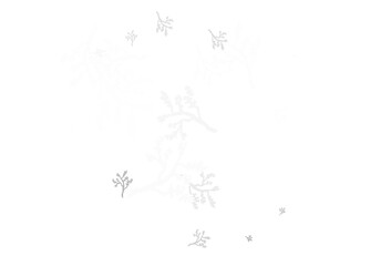 Naklejka premium Light Gray vector elegant template with sakura.