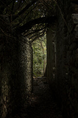 Narrow dark path through stone walls leading to trees and light