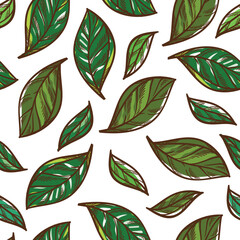 Naklejka premium Mint leaves spices and herbs for cooking seamless pattern