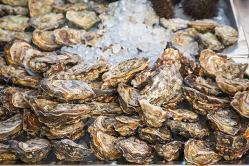 Fresh oysters displayed on ice at Broadway market in London