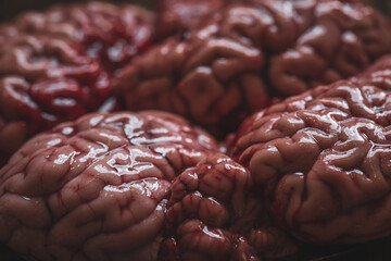 Pink brain before cooking on a plate of dark glass stands on a wooden table.