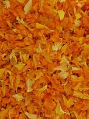 Full Frame shot of orange flower petals