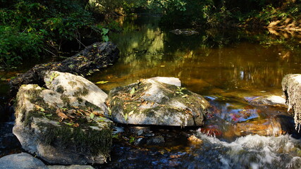 Fototapeta na wymiar Petite cascade ruisseau