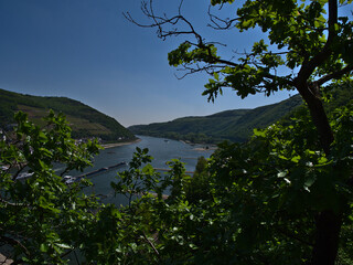 Panoramic view over Rhine river and Rhine valley near Bingen am Rhein, Rhineland-Palatinate, Germany with cargo ship and vineyards on the slopes framed by branches and leaves deciduous trees.