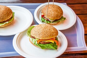 Cheeseburger  , quick snack for the family