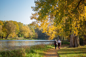 couple walking in autumn park with lake in sunny weather