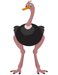 Standing ostrich front view. African animal in cartoon style.