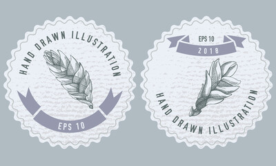 Monochrome labels design with illustration of bromeliad