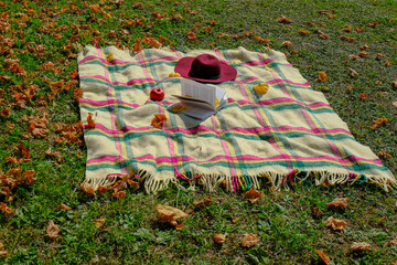 Reading, weekend in fall park. Checkered blanket with fringes, red felt hat, apple, and open book...