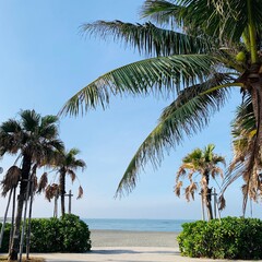 Obraz premium beach