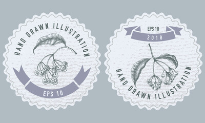 Monochrome labels design with illustration of ardisia