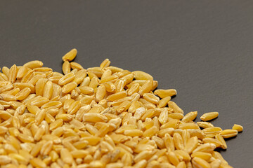 Seeds of ripe wheat on a gray background close-up. Soft focus