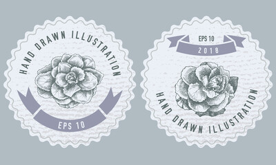 Monochrome labels design with illustration of brassica