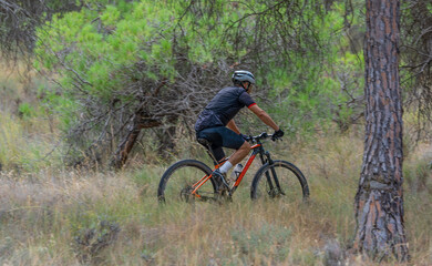 mountain biker on a mountain path with pine trees