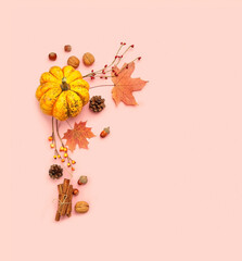 Obraz na płótnie Canvas pumpkin, maple leaves, cones, nuts, cinnamon on pink background. autumn time concept, thanksgiving and halloween holiday. copy space