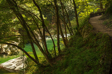 広島県・三段峡を散策する