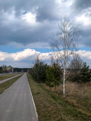 road in the countryside