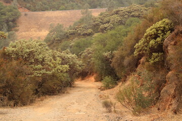 Hiking a river-mountain trail