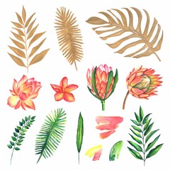 Watercolor set of vintage floral tropical natural elements. Exotic flowers, botanical bright classic nature collection isolated on white background.