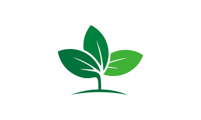 Fototapeta na wymiar green leaf illustration vector