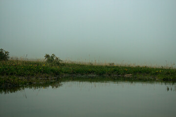 puddle and fog