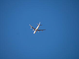Aeroplane flying high above Sydney Harbour Australia